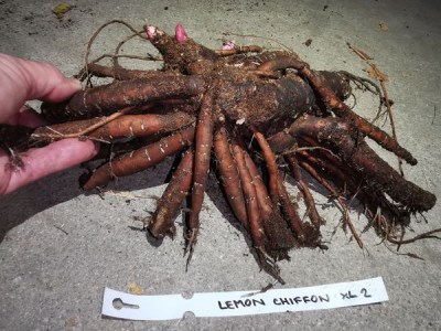 IMG_20251108_175854_result