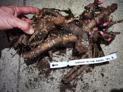 IMG_20251108_215942_result