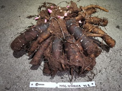 IMG_20251203_191802_result