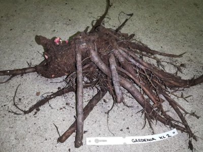 IMG_20251208_162246_result